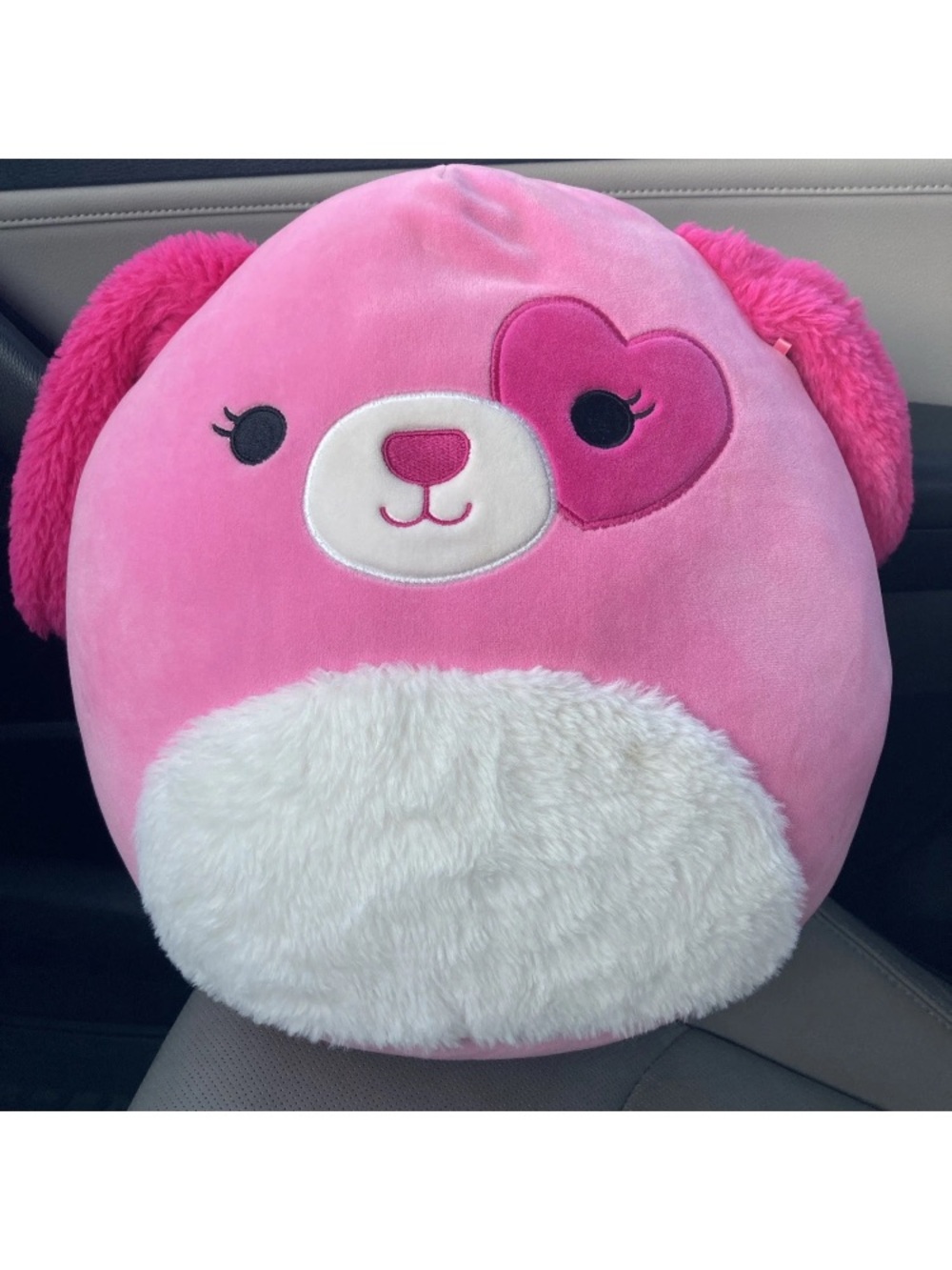 Squishmallow Valentine’s Day Sager the Pink Cocker Spaniel Dog
